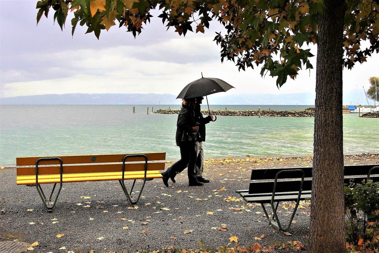 guarda-chuva