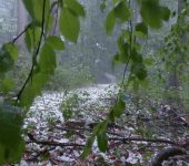 chuva e granizo