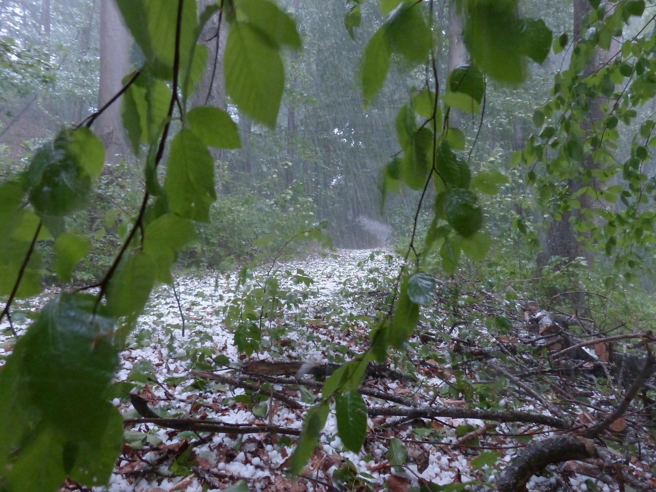 chuva e granizo