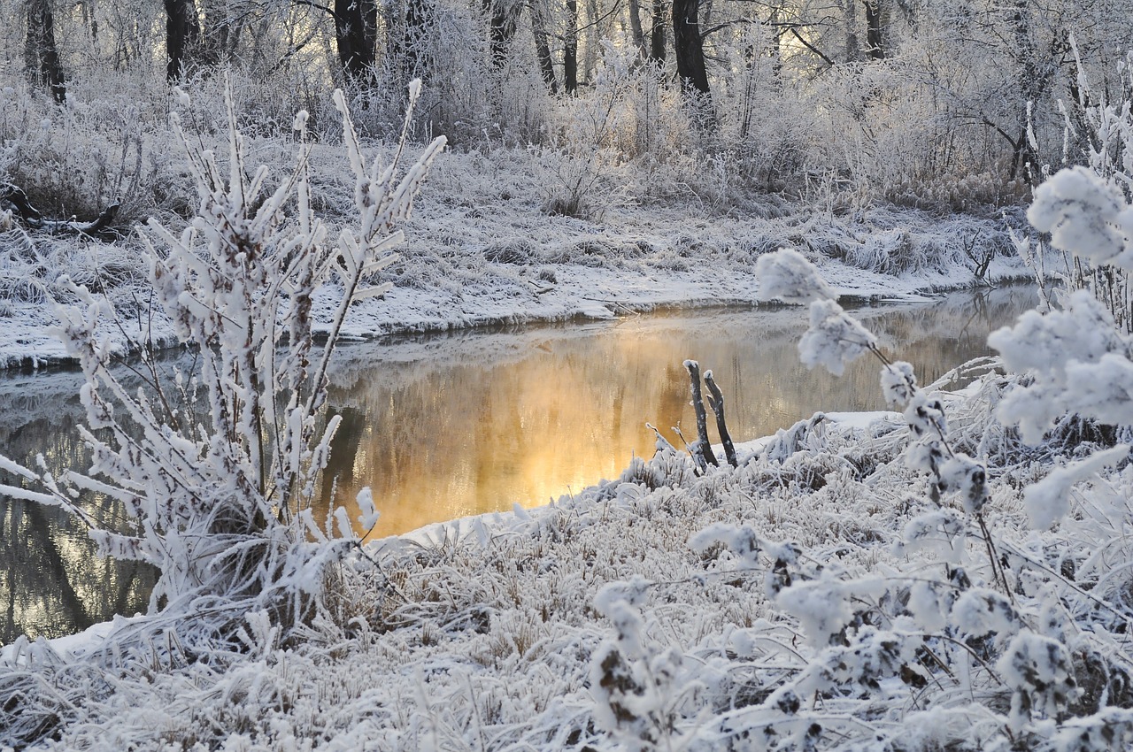 Neve e água