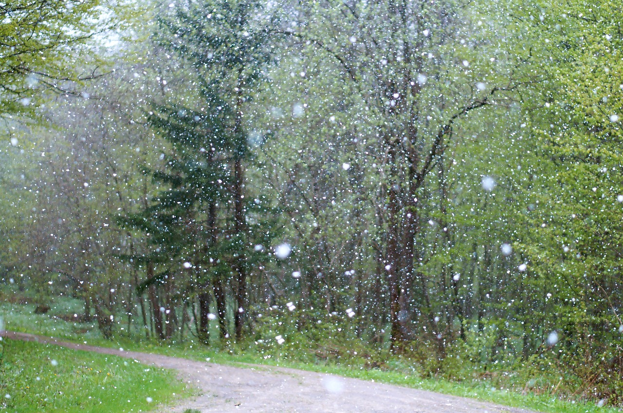 chuva de granizo